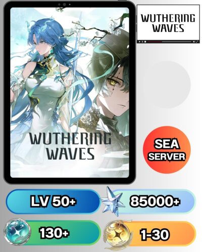 ID - WUTHERING WAVES  - [ เซิร์ฟเวอร์ SEA ] - ตัวหลักครหลักสุ่ม - เพชร 85000+